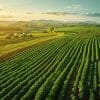 Comment agrandir sa ferme dans Hay Day : astuces et stratégies pour étendre son exploitation agricole virtuelle